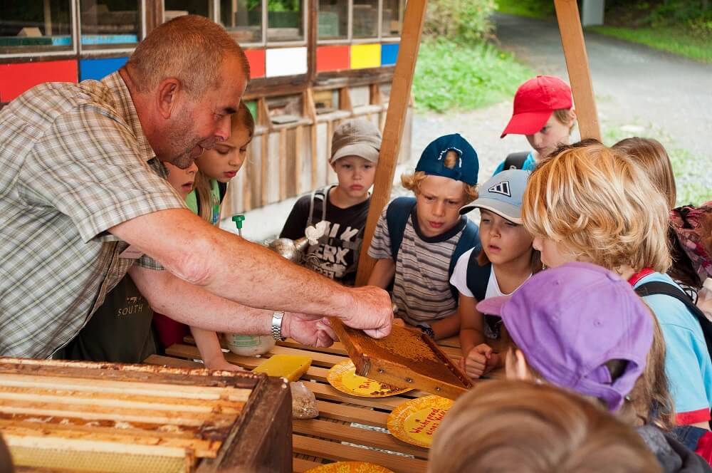 Im Hessenpark gibt es eine Imkerei, in der Kinder vieles über Bienen und Honig lernen können