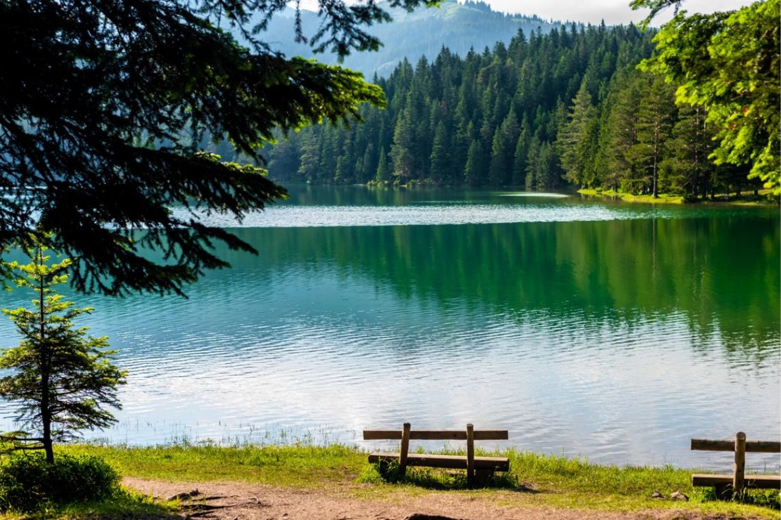 Interessante Ausflugsziele im Schwarzwald